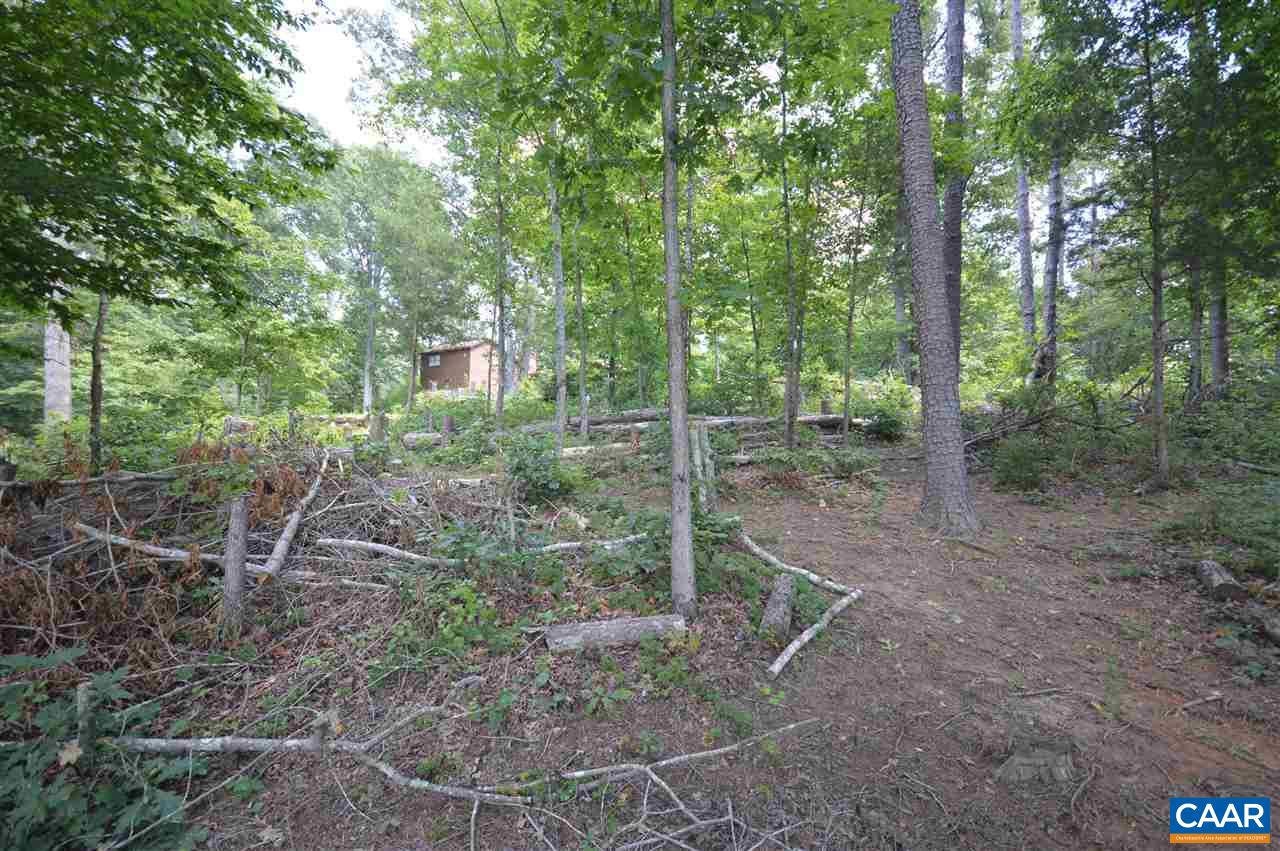 0 Chapel Road Ruckersville, VA 22968 - Photo 5 of 10 a backyard of a house with lots of green space