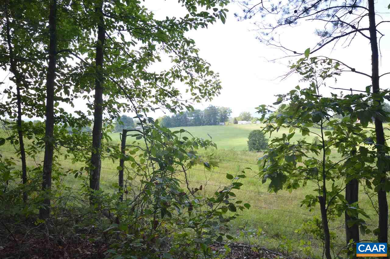 0 Chapel Road Ruckersville, VA 22968 - Photo 6 of 10 a view of a yard with a tree