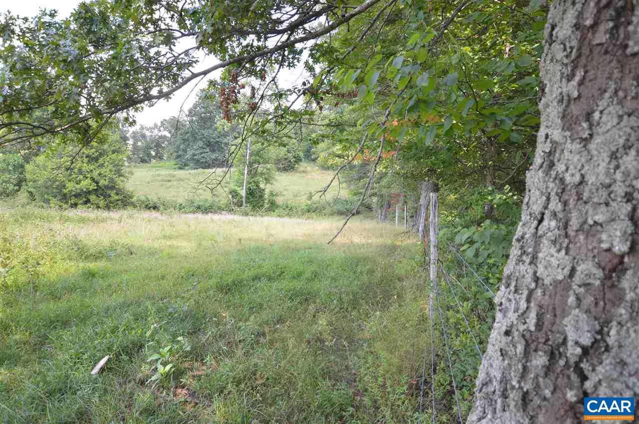 0 Chapel Road Ruckersville, VA 22968 - Photo 8 of 10 a view of outdoor space and yard