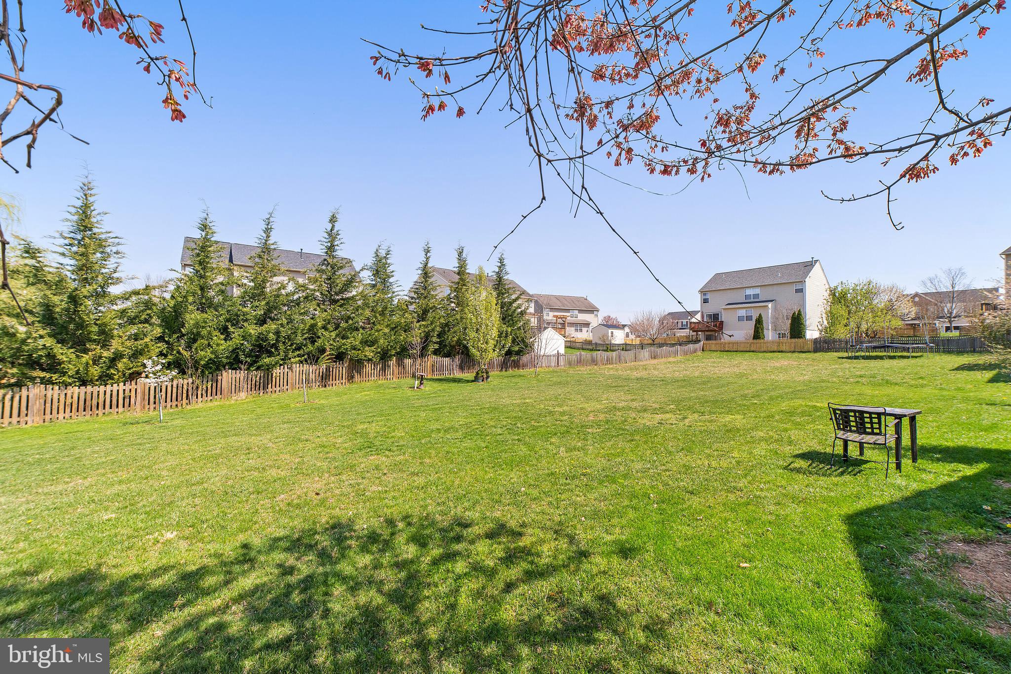 749 Blossom Tree Road Culpeper, VA 22701 - Photo 53 of 56 Gallery Image 53