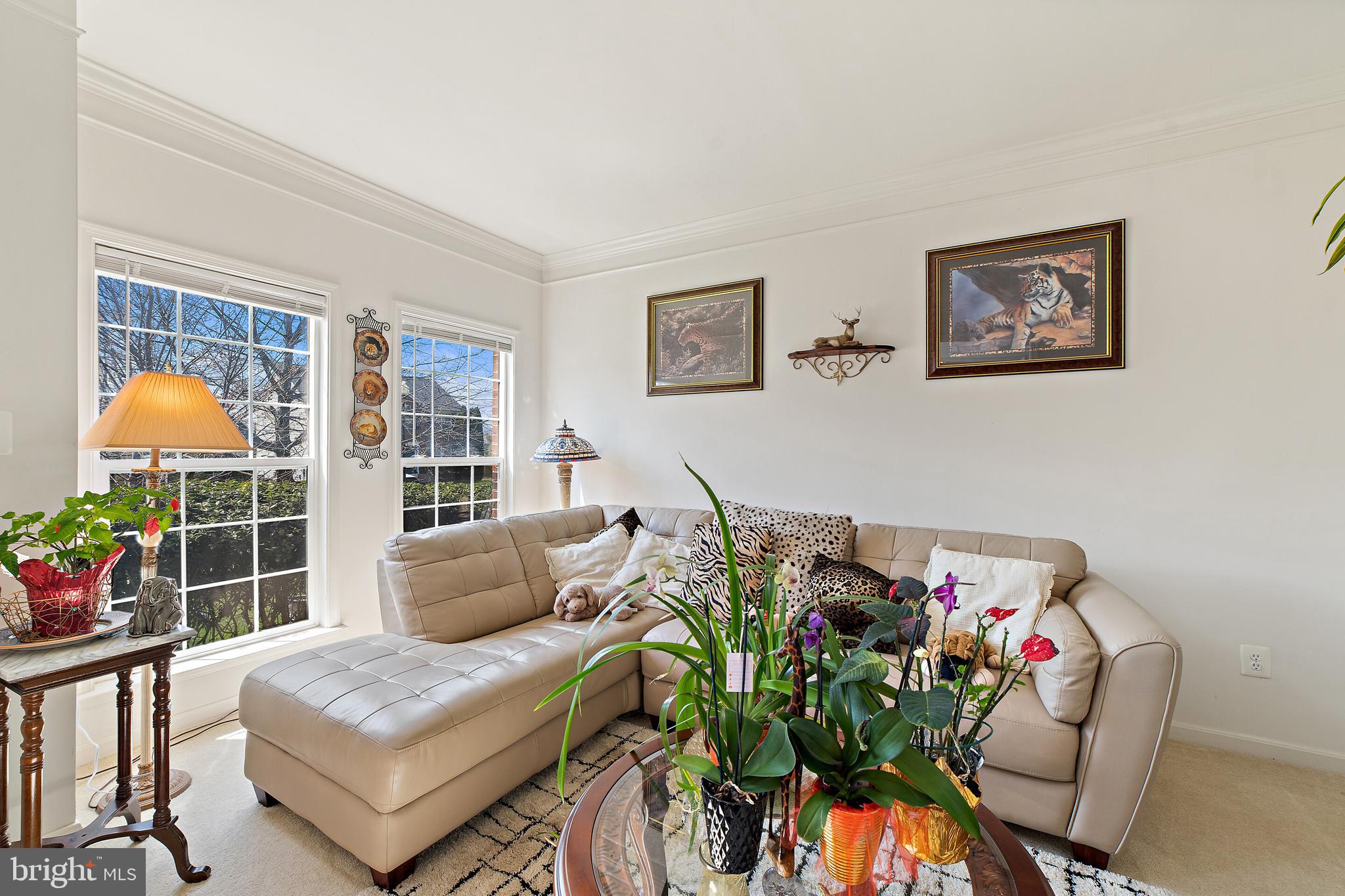 749 Blossom Tree Road Culpeper, VA 22701 - Photo 7 of 56 Gallery Image 7