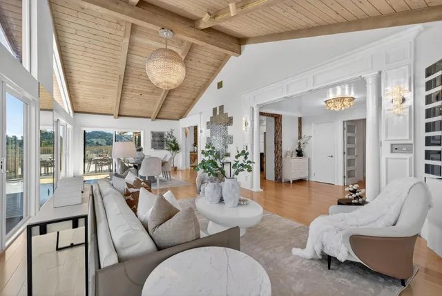 a living room with furniture plant and a potted plant