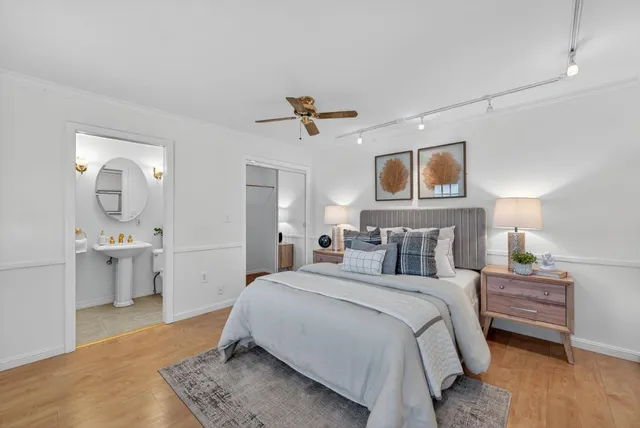 a view of a back yard with a chair and potted plants