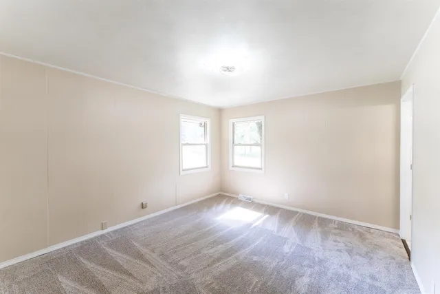 a view of a trees in a yard