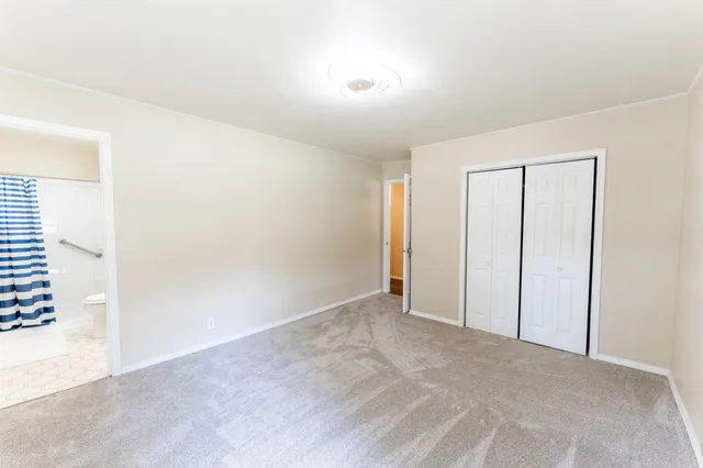 a view of a garden with a tree