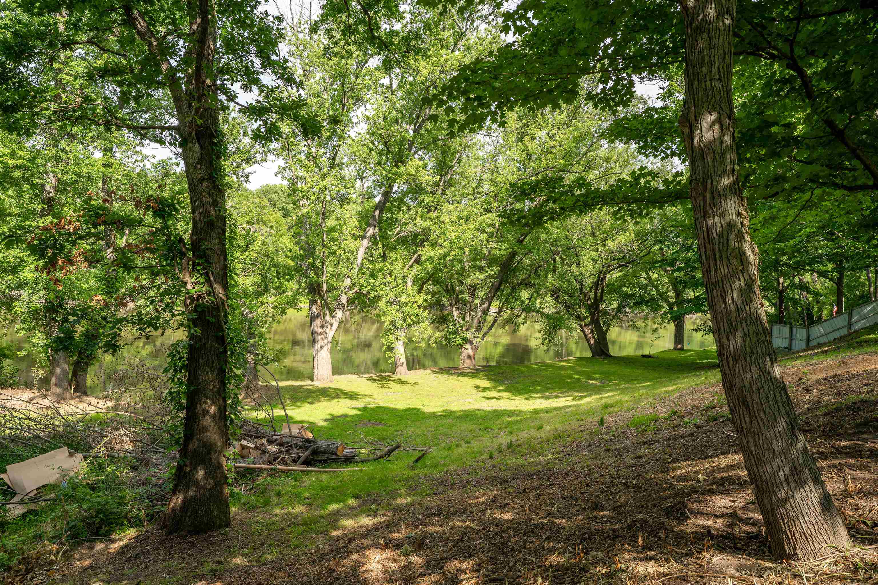 1162 South Bradley Road Oregon, IL 61061 - Photo 47 of 78 a view of a trees in a yard