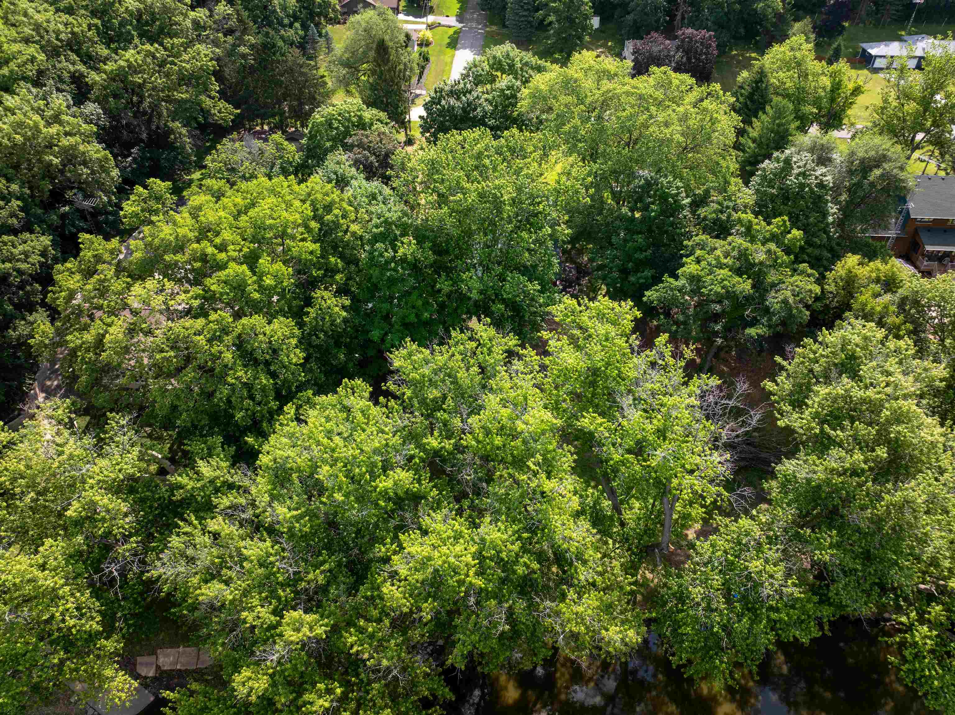 1162 South Bradley Road Oregon, IL 61061 - Photo 63 of 78 an aerial view of a house with a yard and outdoor space