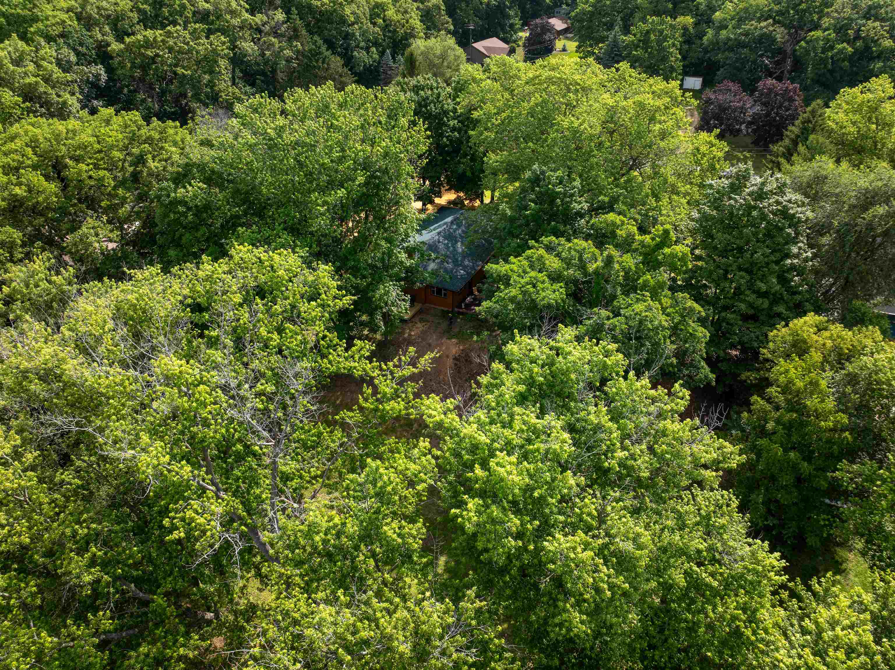 1162 South Bradley Road Oregon, IL 61061 - Photo 66 of 78 an aerial view of a house with a lush green forest