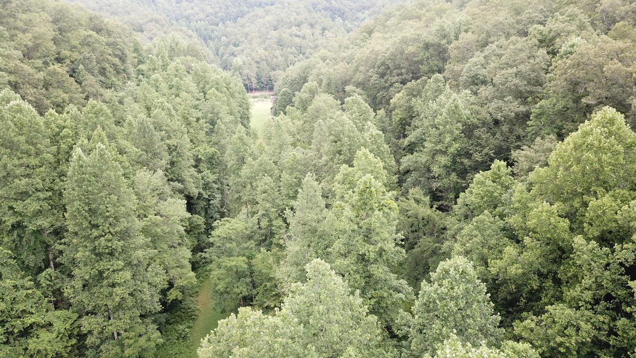 4725 Crane Creek Road Manchester, KY 40962 - Photo 43 of 50 Photo 43