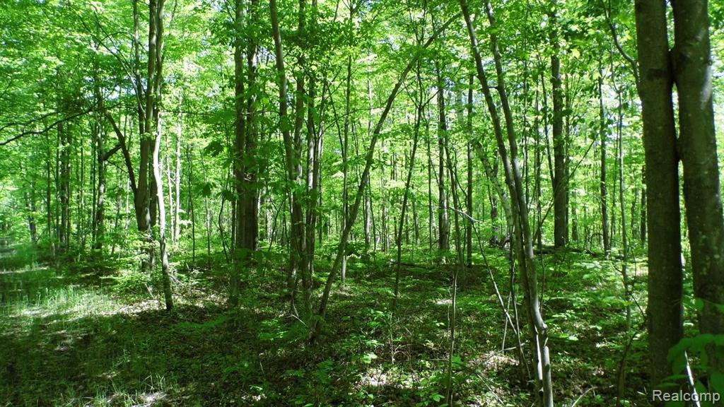 0 South Murray Road Caro, MI 48723 - Photo 7 of 14