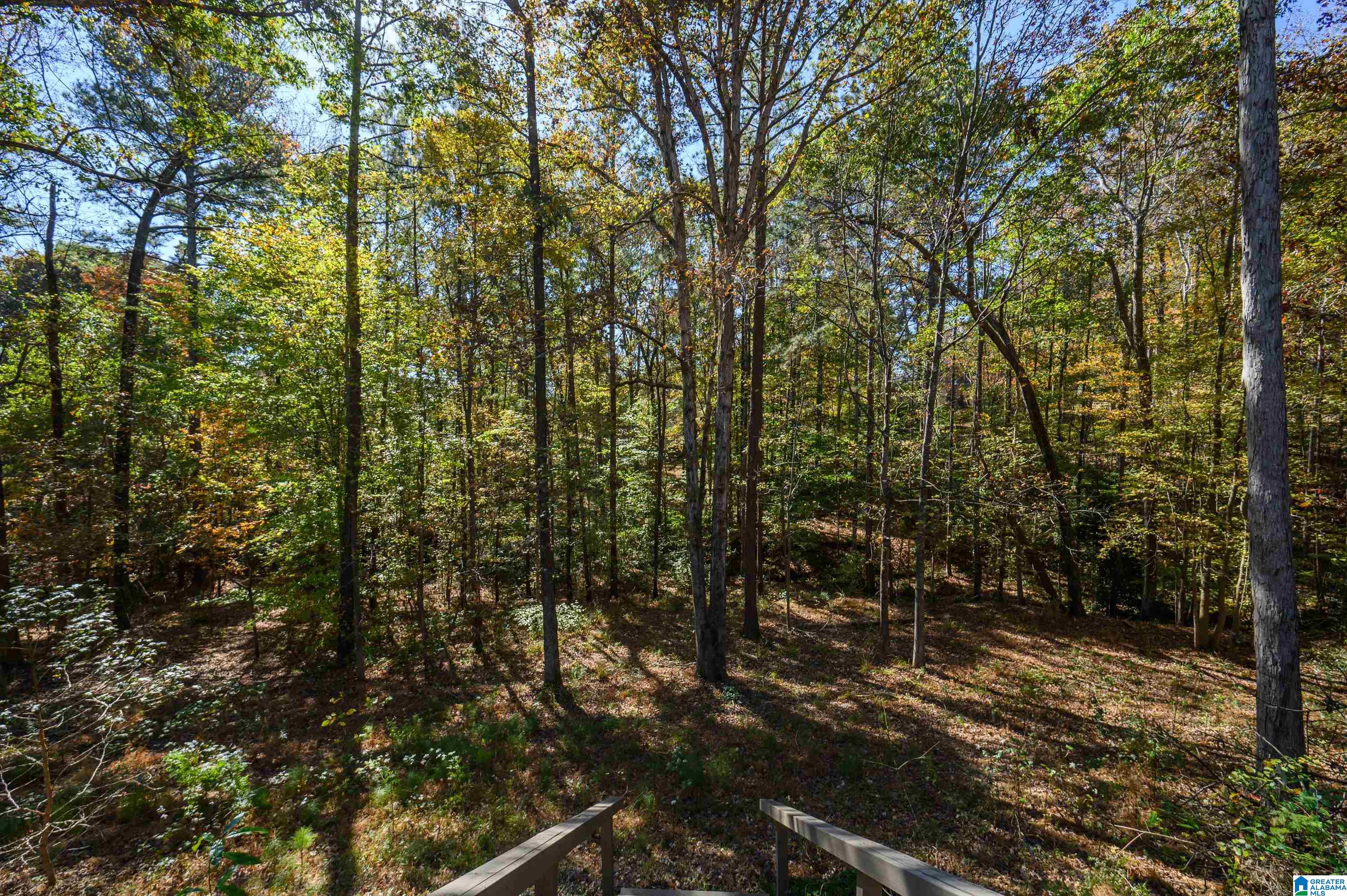 138 Overview Drive Sterrett, AL 35147 - Photo 64 of 66