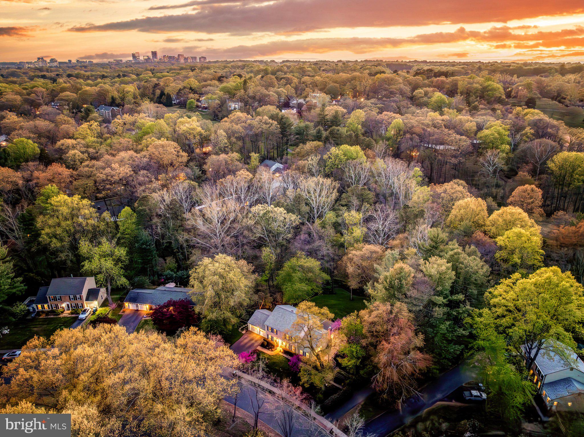 10812 Hunt Club Road Reston, VA 20190 - Photo 73 of 74 Serene suburban sunset glow.