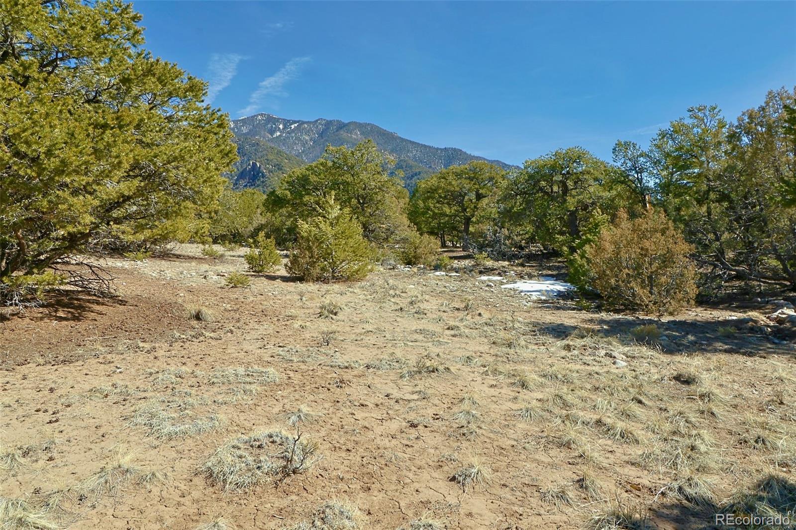 3609 Splendid Terrace Crestone, CO 81131 - Photo 5 of 12