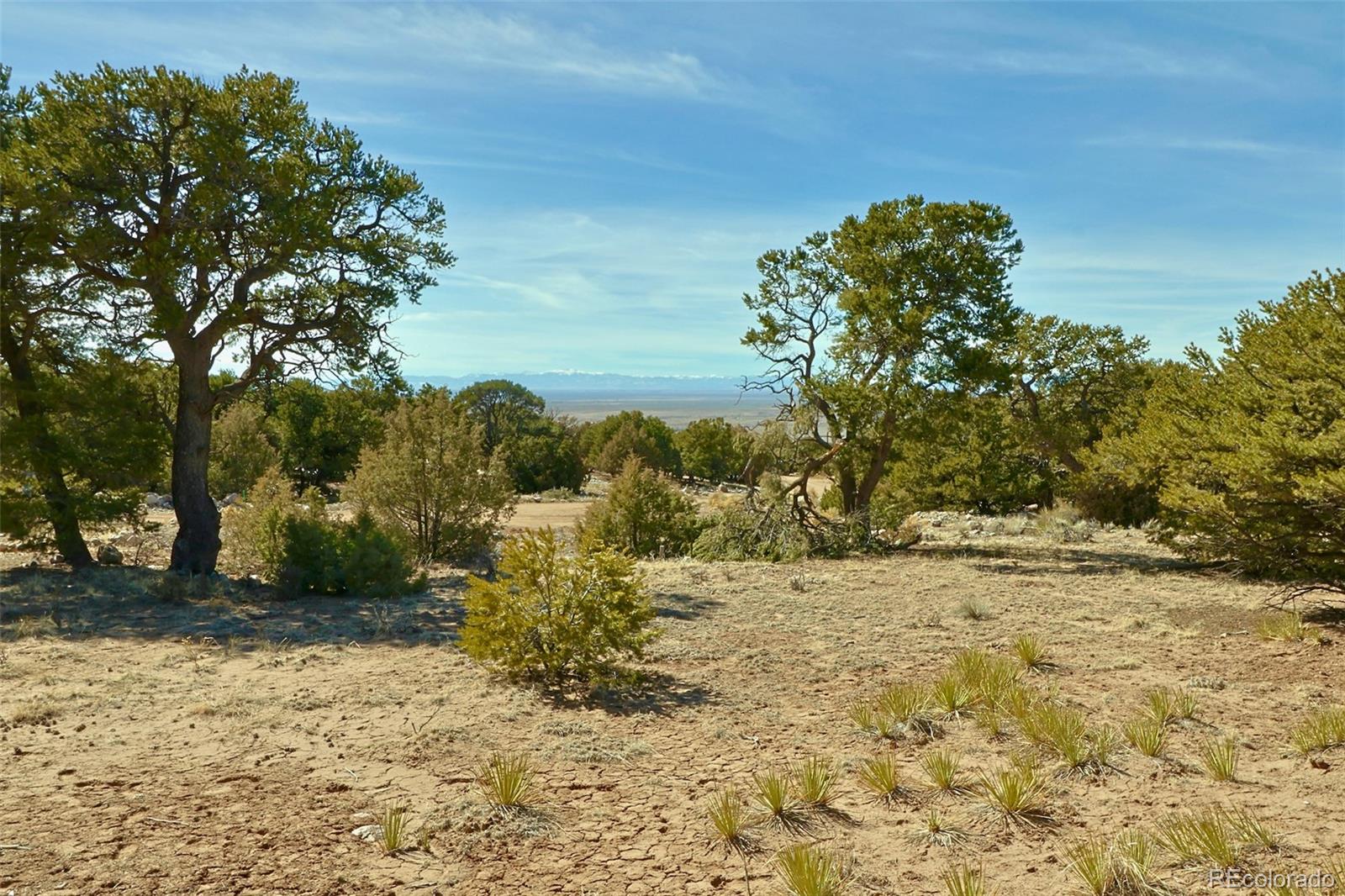 3609 Splendid Terrace Crestone, CO 81131 - Photo 8 of 12