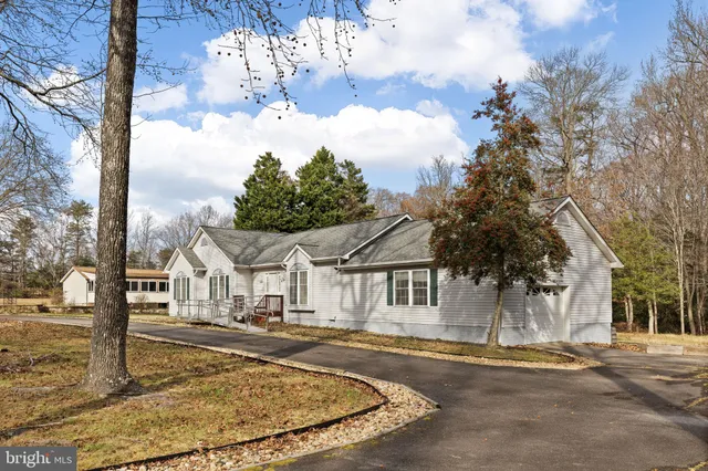 a view of a white house with a large tree and plants