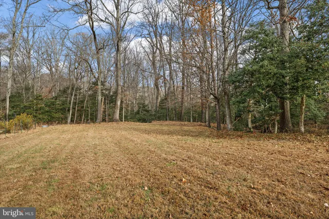 a backyard of a house with large trees