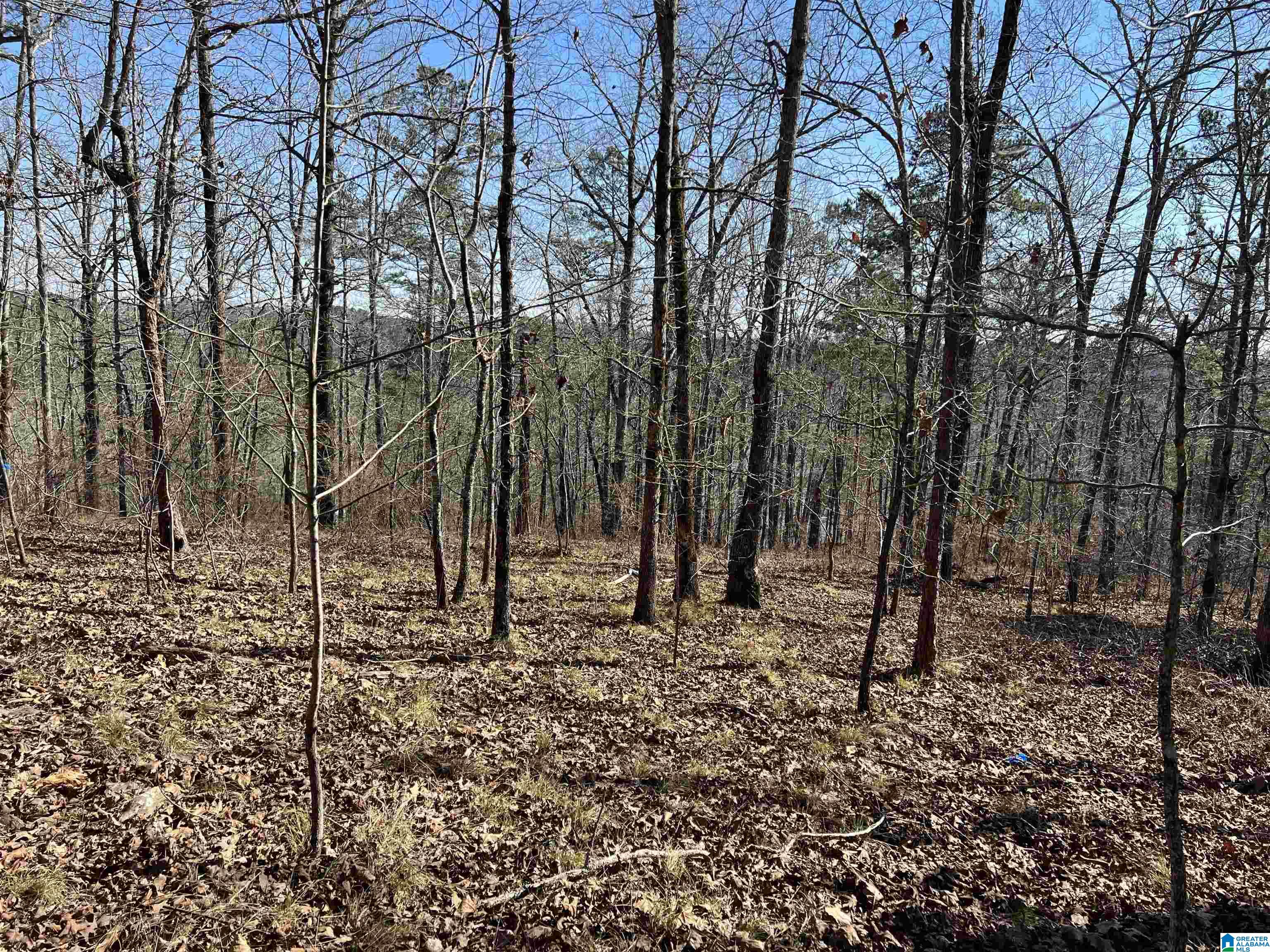 0 County Road 2811, Unit 1 Lineville, AL 36266 - Photo 11 of 13