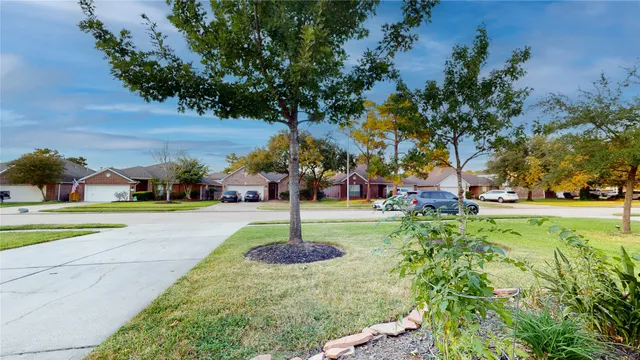 a view of a park with large trees
