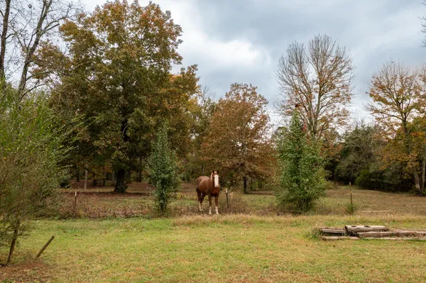 $160,000 | 253 Halls Mill Road, Chickamauga, GA 30707