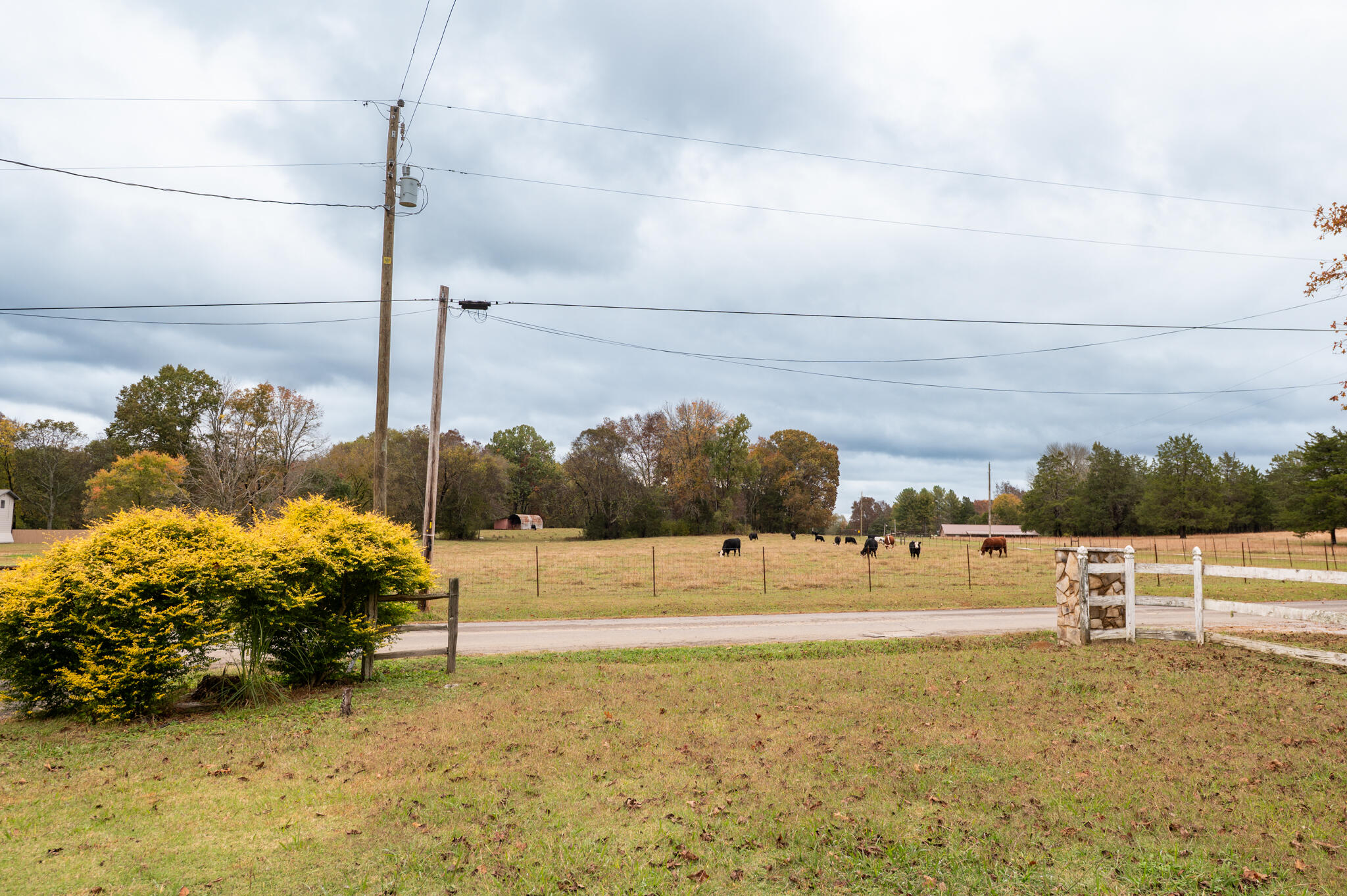 253 Halls Mill Road Chickamauga, GA 30707 - Photo 18 of 21 VS6_8288