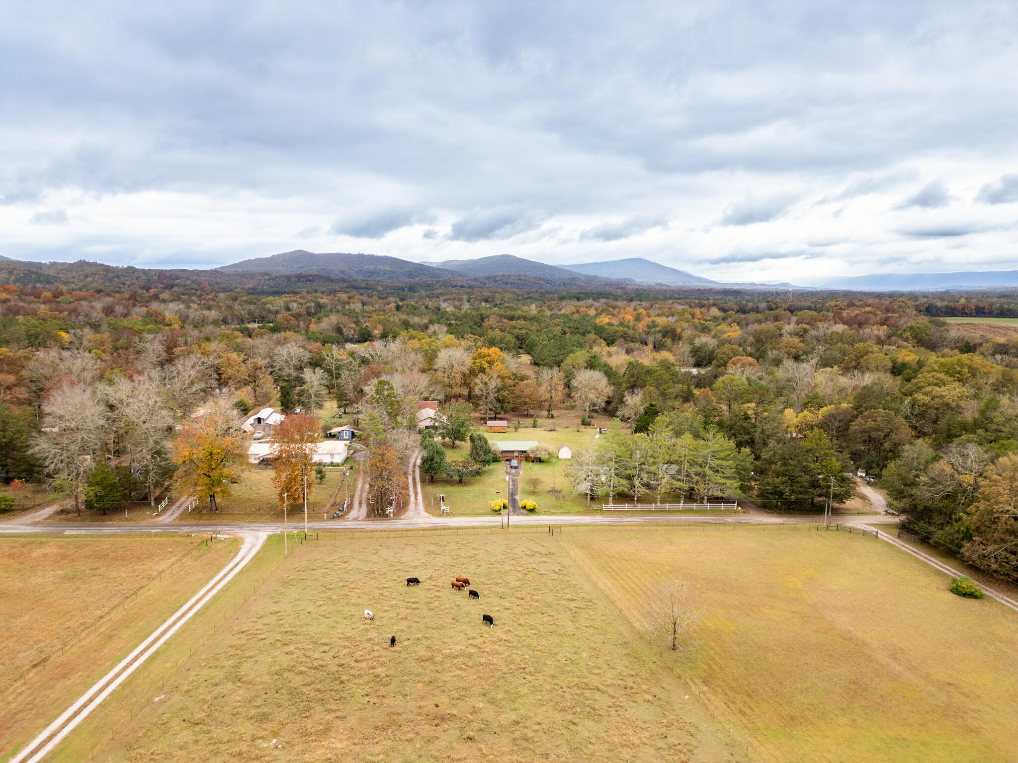 253 Halls Mill Road Chickamauga, GA 30707 - Photo 20 of 21 DJI_0741