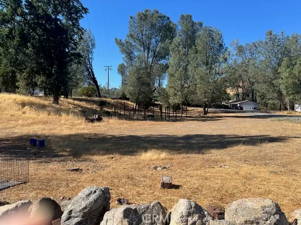 a view of a yard with trees