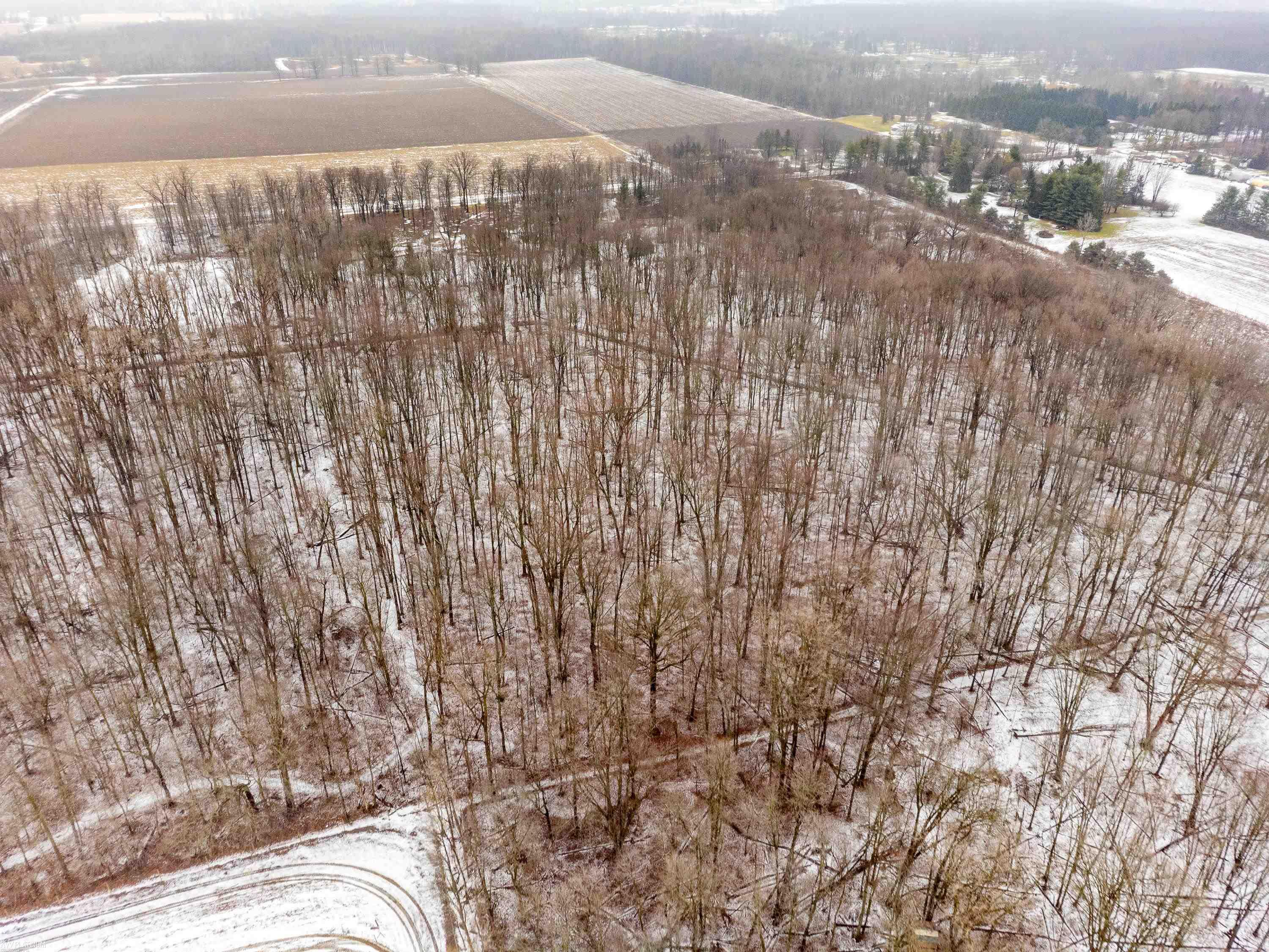 17700 Irwin Road Armada, MI 48005 - Photo 79 of 80 50197147-749e0bd0-5081-44d6-a26e-c48f1b687304.JPG