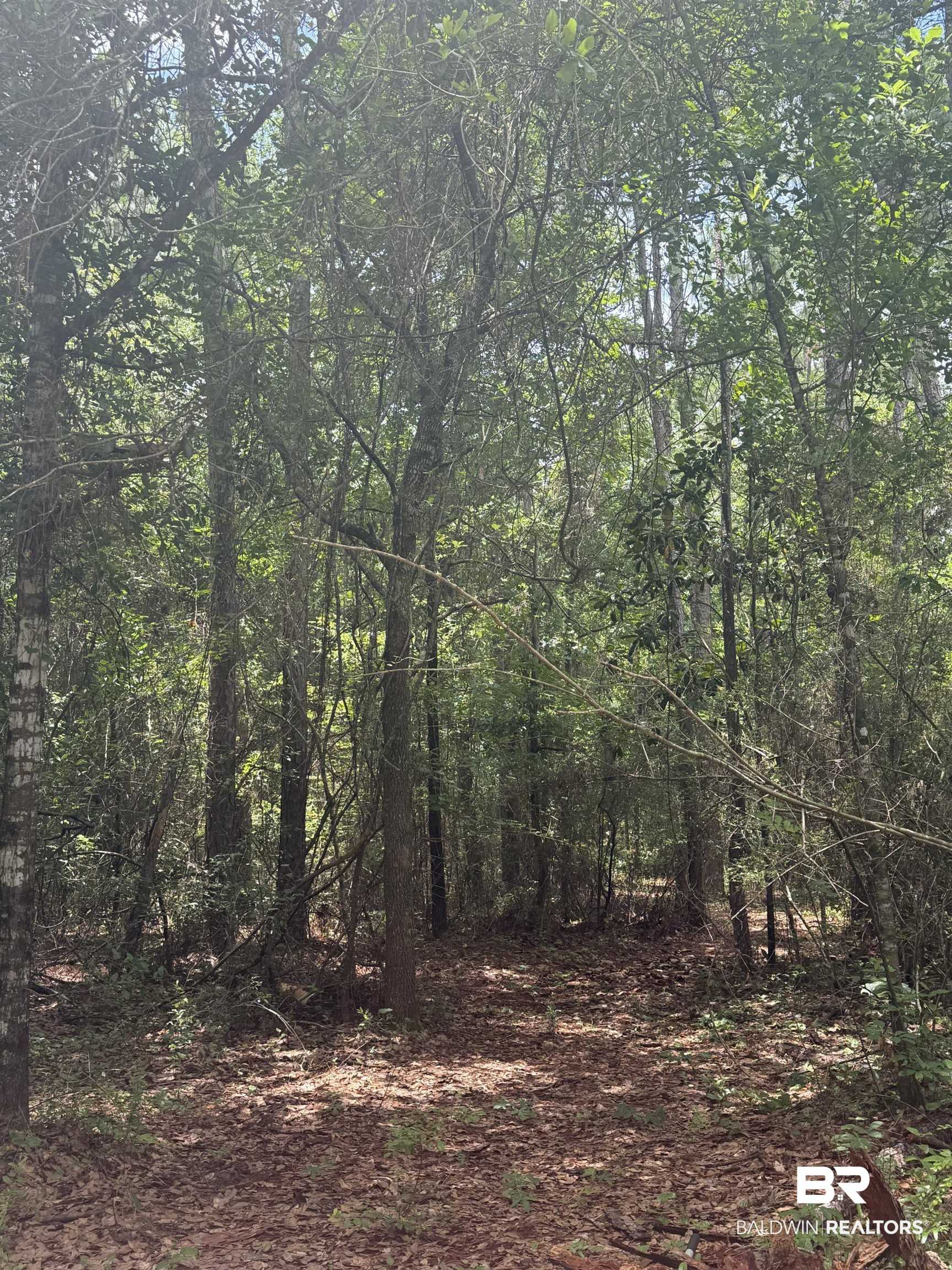 29607 Fox Branch Road Loxley, AL 36551 - Photo 4 of 5