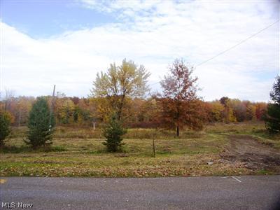2349 Sodom Road Williamsfield, OH 44093 - Photo 1 of 1 Gallery Image 1