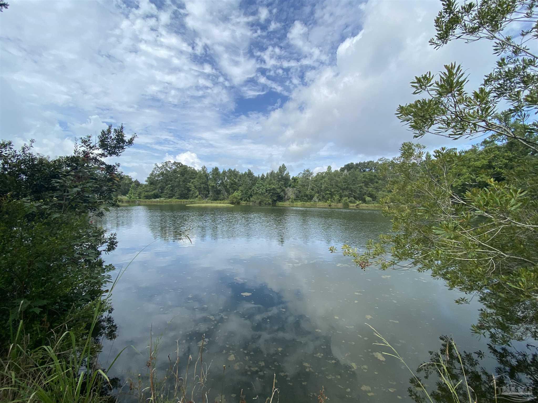 750 Barth Road Molino, FL 32577 - Photo 4 of 8 Gallery Image 4