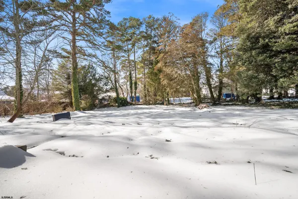 a view of road space with trees