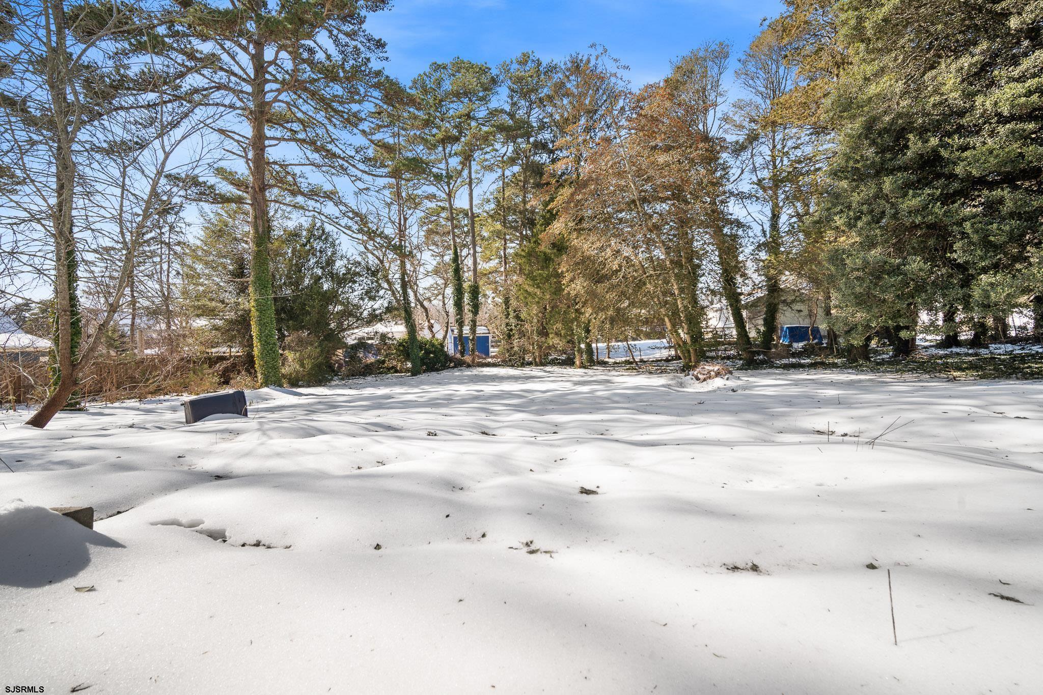 123 Bayview Drive Absecon, NJ 08201 - Photo 4 of 23 a view of road space with trees