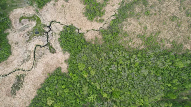 $199,900 | 5650 25th Avenue Southwest, Pequot Lakes, MN 56472