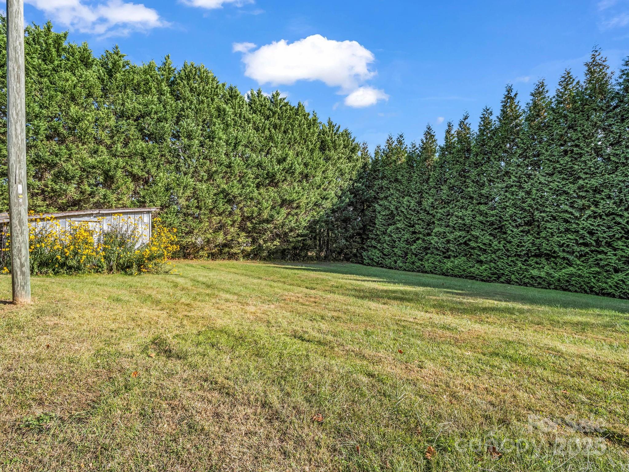 1600 Orchard Road Flat Rock, NC 28731 - Photo 22 of 33 a view of a yard with a tree