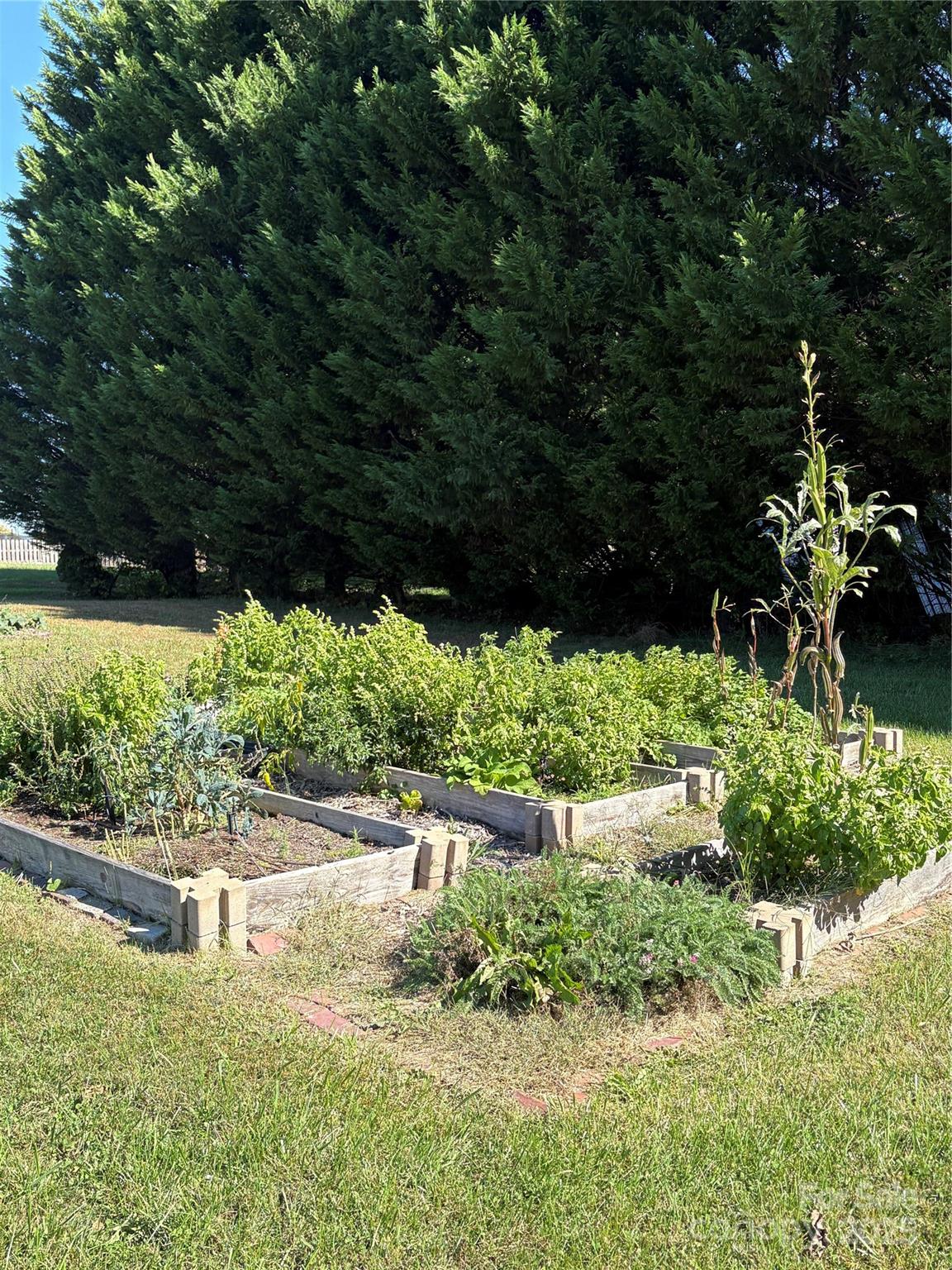 1600 Orchard Road Flat Rock, NC 28731 - Photo 25 of 33 a view of yard with green space