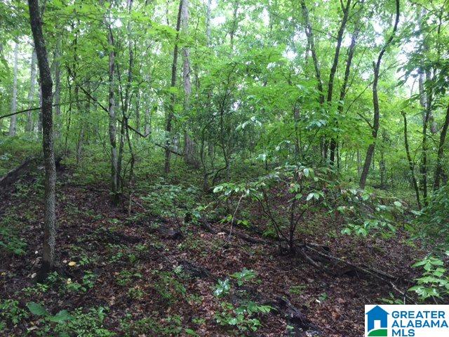 280 Saltsman Road, Unit 80± ACRES Alexander City, AL 35010 - Photo 17 of 17