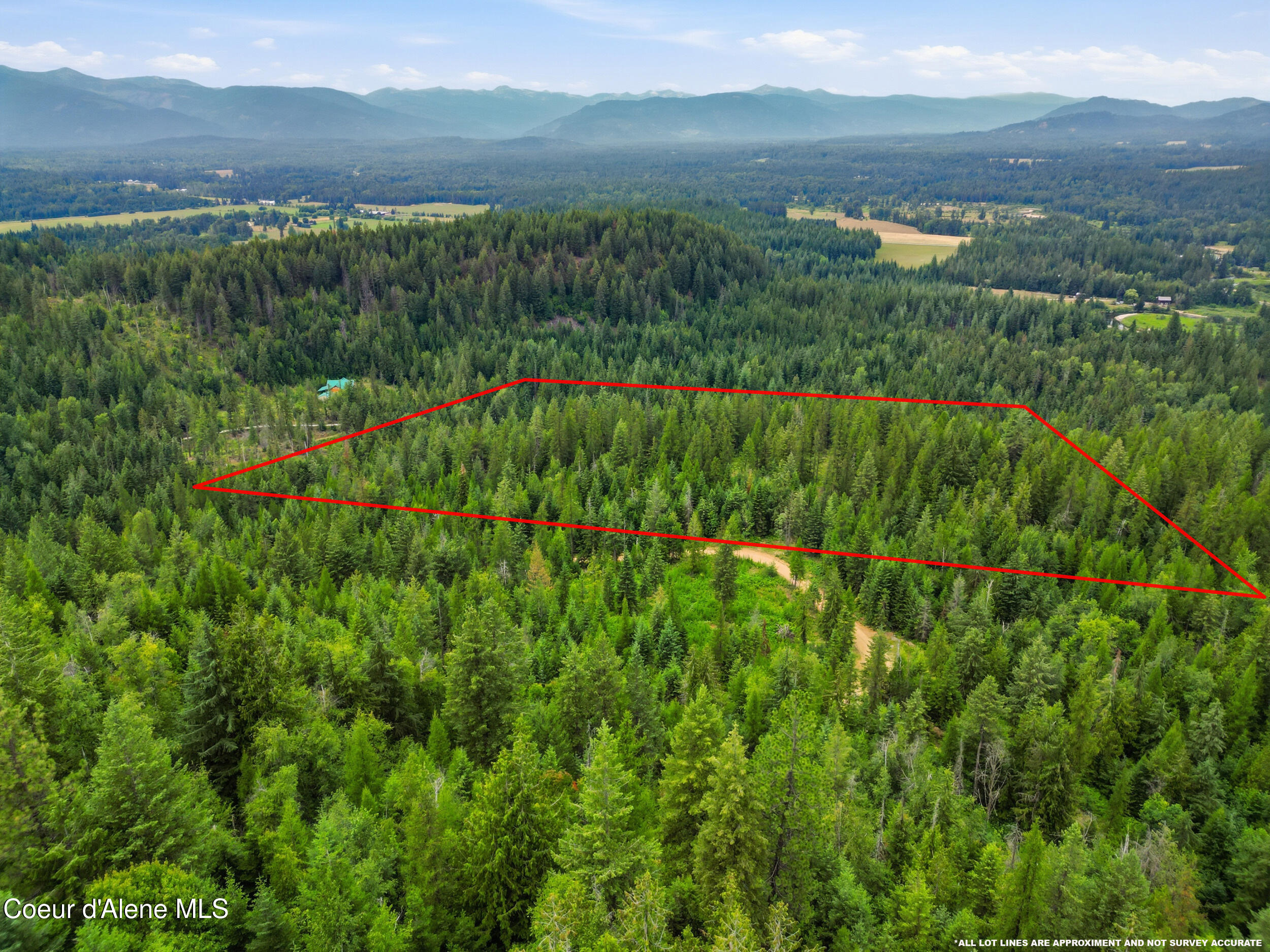 217 Whodathunkit Road Sandpoint, ID 83864 - Photo 10 of 30 10_dji_0245 copy
