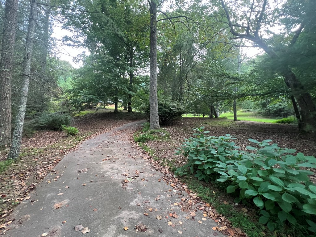 1200 Tennis Court Road Blue Ridge, GA 30513 - Photo 11 of 24 Gallery Image 11