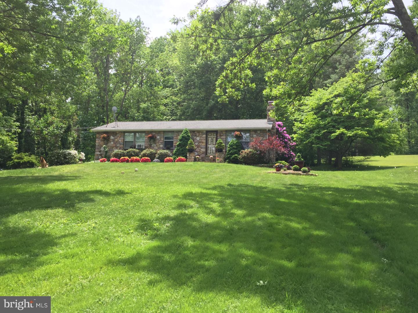 184 Papermill Road Barto, PA 19504 - Photo 1 of 16 Front Yard