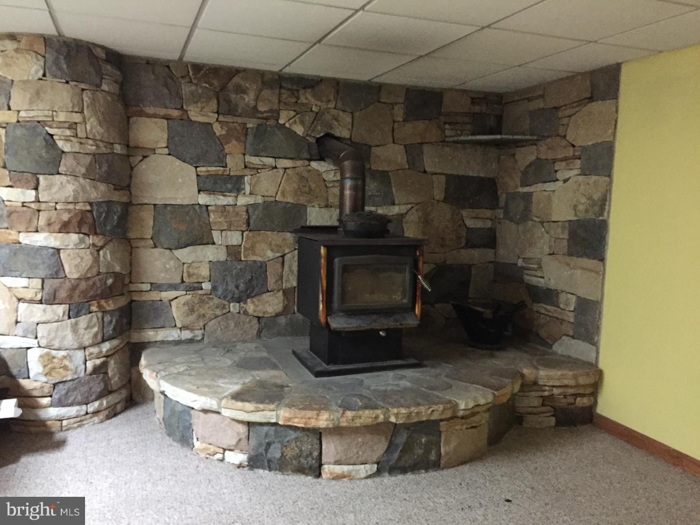 184 Papermill Road Barto, PA 19504 - Photo 16 of 16 Fireplace