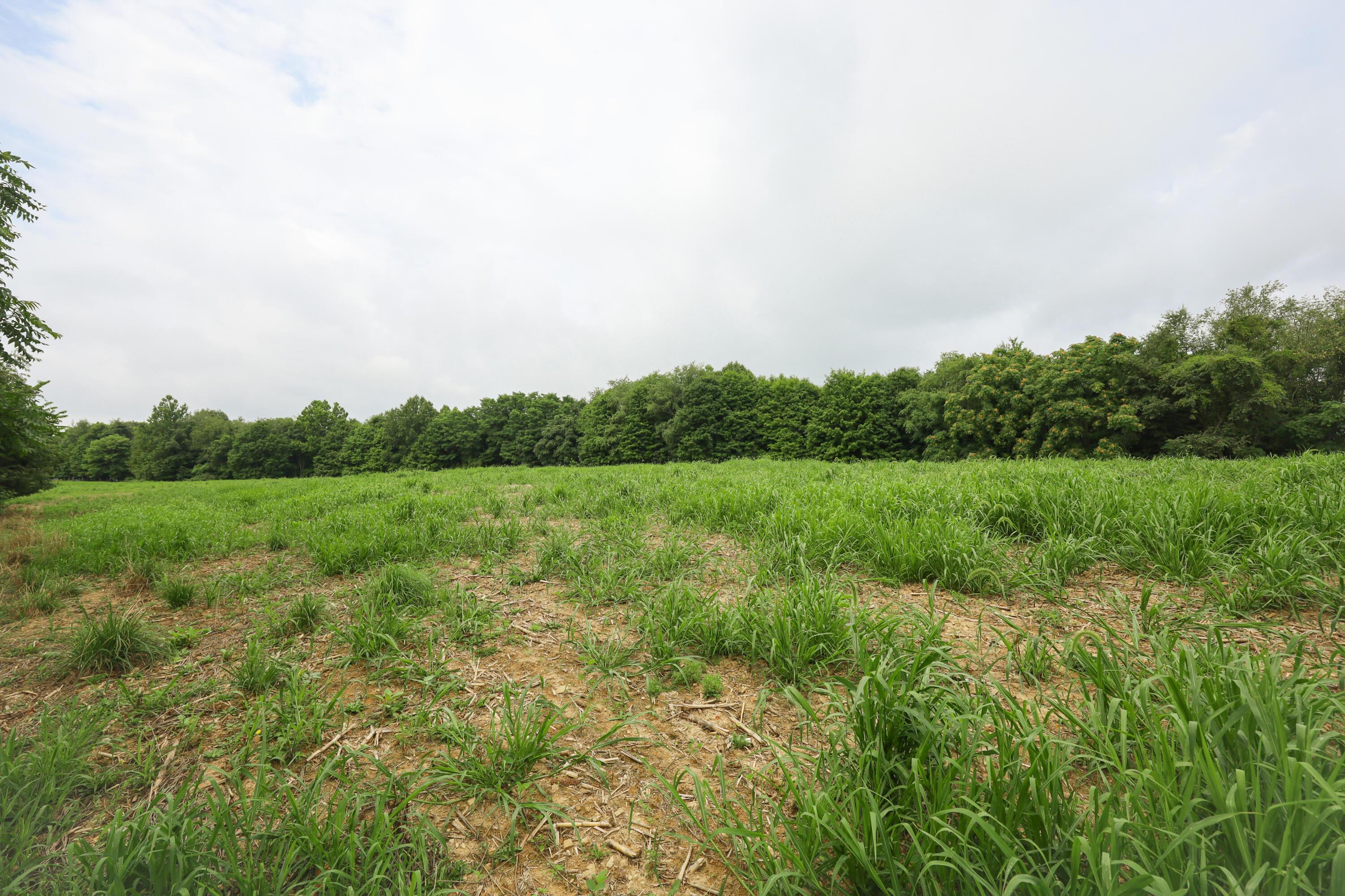 0 North Butler Liberty Road Butler, OH 44822 - Photo 23 of 47 IMG_0901