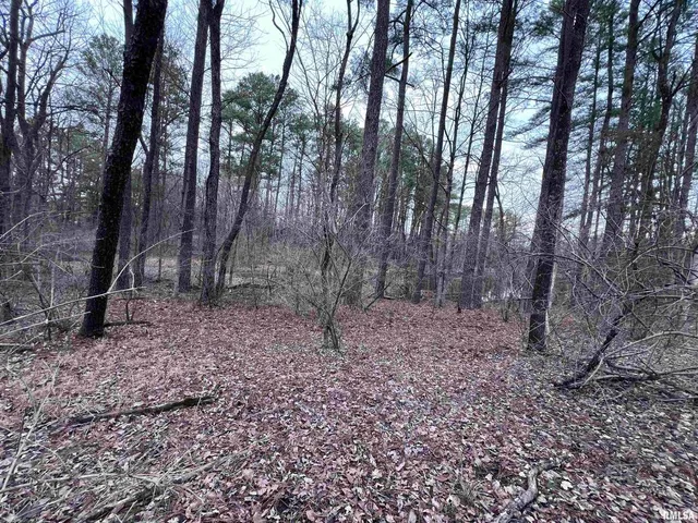 $75,000 | 449 Pine Lane, Murphysboro, IL 62966