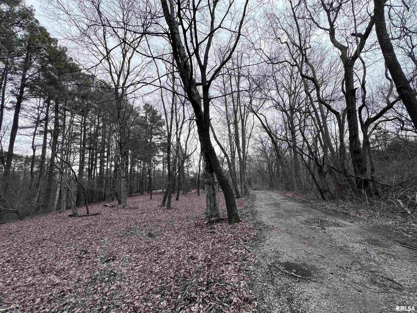 449 Pine Lane Murphysboro, IL 62966 - Photo 2 of 8