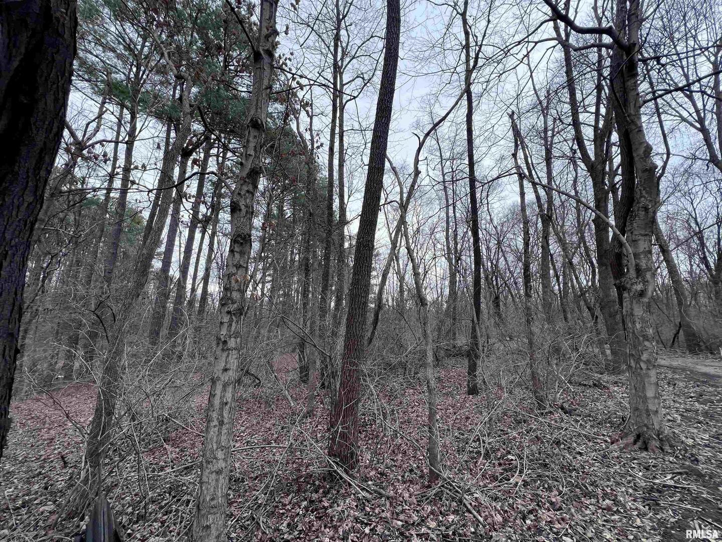 449 Pine Lane Murphysboro, IL 62966 - Photo 3 of 8