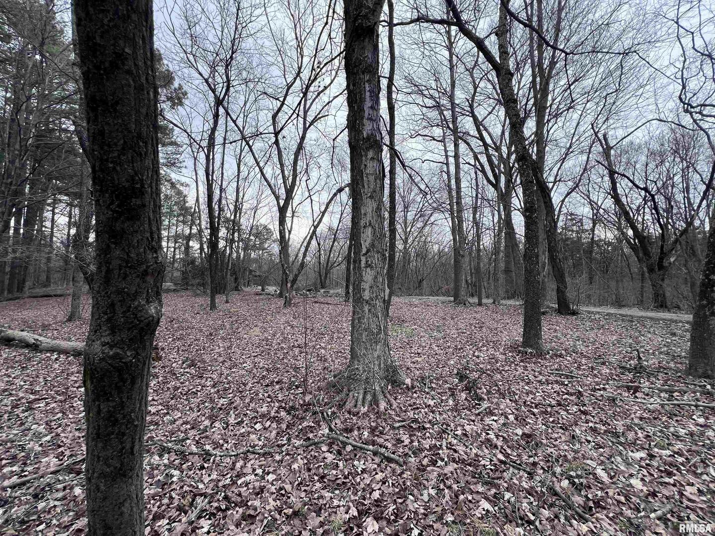 449 Pine Lane Murphysboro, IL 62966 - Photo 5 of 8