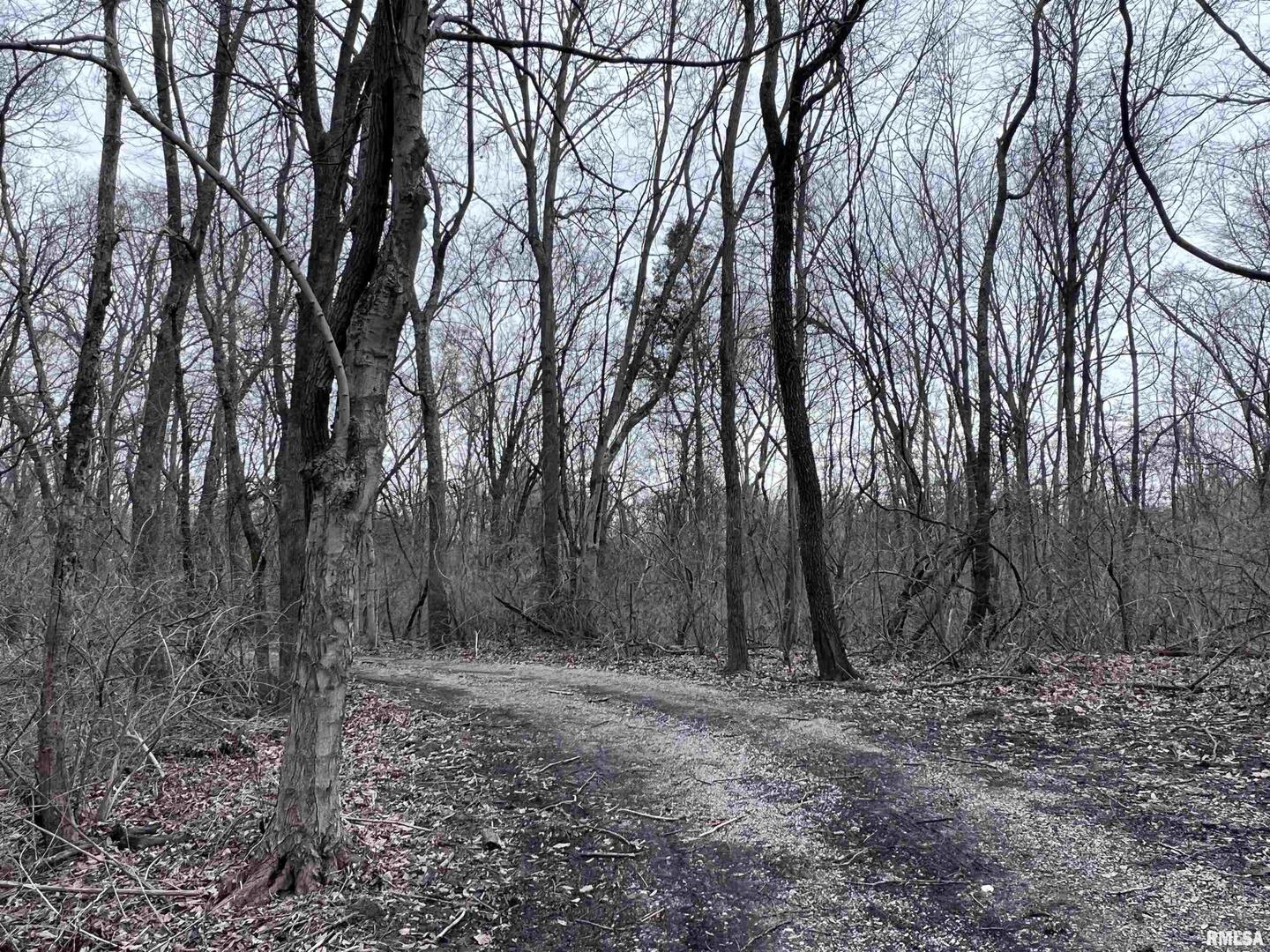 449 Pine Lane Murphysboro, IL 62966 - Photo 6 of 8