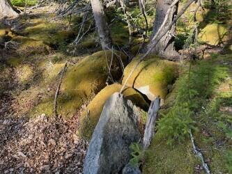 9 Rockledge Road South Thomaston, ME 04858 - Photo 2 of 8 00ea12b7-116d-462c-b11e-30a62c7dd101