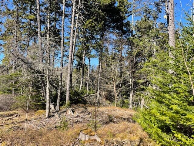 9 Rockledge Road South Thomaston, ME 04858 - Photo 3 of 8 8abcb627-cb2b-4f6f-8389-06d86e4ecab2