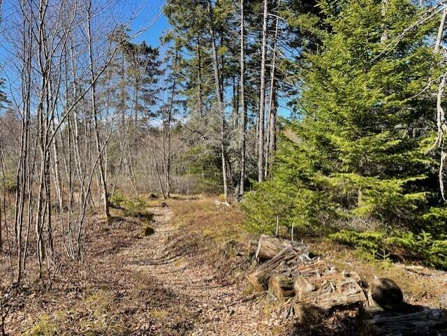 9 Rockledge Road South Thomaston, ME 04858 - Photo 4 of 8 541a4616-0915-49bc-9f23-2d0d8a59ed61