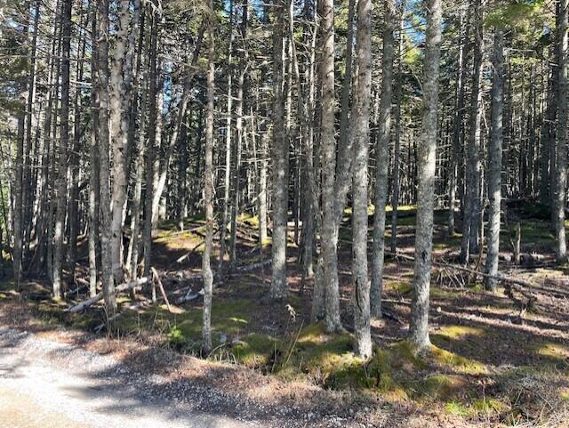 9 Rockledge Road South Thomaston, ME 04858 - Photo 5 of 8 543edd6a-7d26-481b-821e-0e91965dc322